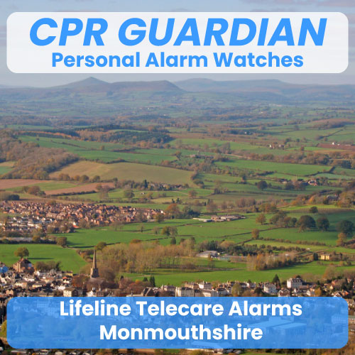Lifeline-Alarm-Telecare-Monmouthshire