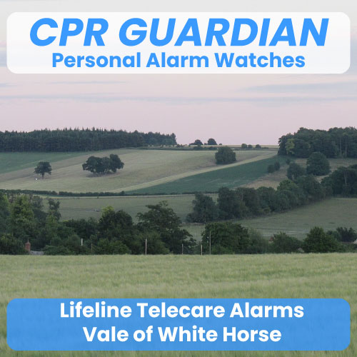 Lifeline-Community-Alarm-Telecare-Vale-of-White-Horse